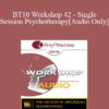 [Audio] BT10 Workshop 42 - Single-Session Psychotherapy: Enhancing One-Meeting Potentials - Michael Hoyt