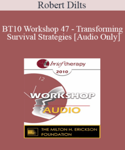 [Audio] BT10 Workshop 47 - Transforming Survival Strategies - Robert Dilts
