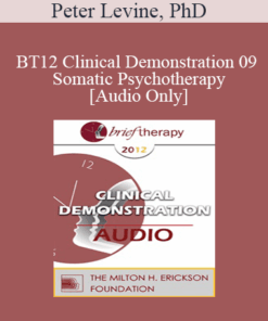 [Audio] BT12 Clinical Demonstration 09 - Somatic Psychotherapy - Peter Levine