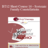 [Audio] BT12 Short Course 16 - Systemic Family Constellations: A Broken Heart Can Heal…Sometimes in One Beat - Dan Booth Cohen