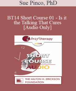 [Audio] BT14 Short Course 01 - Is it the Talking That Cures: Utilizing Silence to Make Therapy More Experiential and Improve Outcomes - Sue Pinco