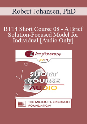 [Audio] BT14 Short Course 08 – A Brief Solution-Focused Model For Individual – Robert Johansen, PhD