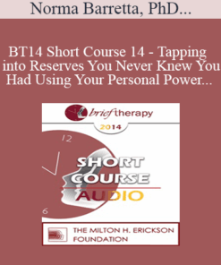 [Audio] BT14 Short Course 14 - Tapping into Reserves You Never Knew You Had Using Your Personal Power - Norma Barretta