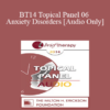 [Audio] BT14 Topical Panel 06 - Anxiety Disorders - Reid Wilson