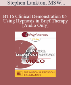 [Audio] BT16 Clinical Demonstration 05 - Using Hypnosis in Brief Therapy - Stephen Lankton