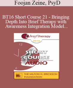 [Audio] BT16 Short Course 21 - Bringing Depth Into Brief Therapy with Awareness Integration Model - Foojan Zeine
