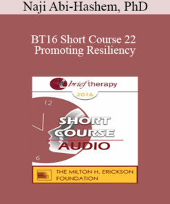 [Audio] BT16 Short Course 22 - Promoting Resiliency: integrating the Mental-Emotional