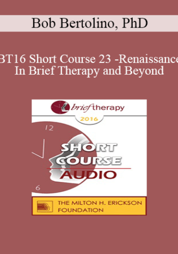 [Audio] BT16 Short Course 23 - Renaissance In Brief Therapy and Beyond: Exploring Intersections of Possibility - Bob Bertolino, PhD