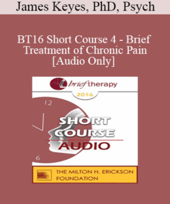 [Audio] BT16 Short Course 4 - Brief Treatment of Chronic Pain - James Keyes
