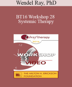 [Audio] BT16 Workshop 28 - Systemic Therapy: Lessons From the Palo Alto Group - Wendel Ray
