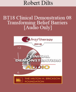 [Audio] BT18 Clinical Demonstration 08 - Transforming Belief Barriers - Robert Dilts