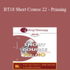 [Audio] BT18 Short Course 22 - Priming: The Hidden Key to Successful Therapeutic Outcomes - Clifton Mitchell