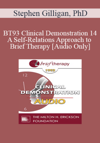 [Audio] BT93 Clinical Demonstration 14 - A Self-Relations Approach to Brief Therapy - Stephen Gilligan, PhD