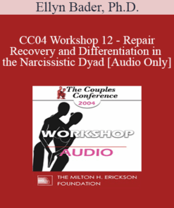 [Audio] CC04 Workshop 12 - Repair
