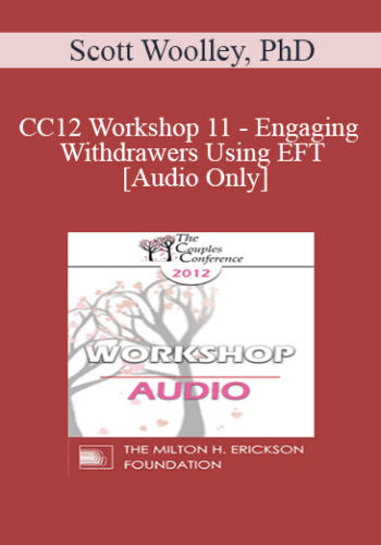 [Audio] CC12 Workshop 11 – Engaging Withdrawers Using EFT – Scott Woolley, PhD