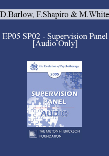 [Audio] EP05 SP02 - Supervision Panel - David Barlow, Ph.D., Francine Shapiro, Ph.D., Michael White, B.A.S.W.