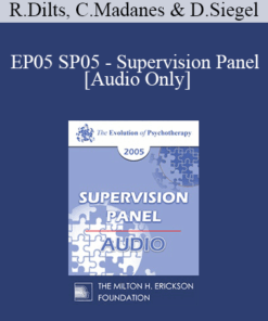 [Audio] EP05 SP05 - Supervision Panel - Robert Dilts