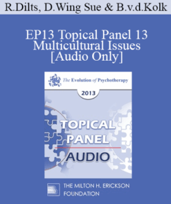 [Audio] EP13 Topical Panel 13 - Multicultural Issues - Robert Dilts