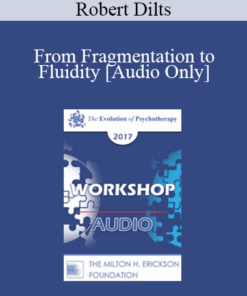 [Audio] EP17 Workshop 05 - From Fragmentation to Fluidity - Robert Dilts
