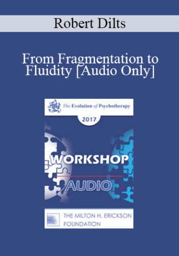 [Audio] EP17 Workshop 05 - From Fragmentation to Fluidity - Robert Dilts, BA