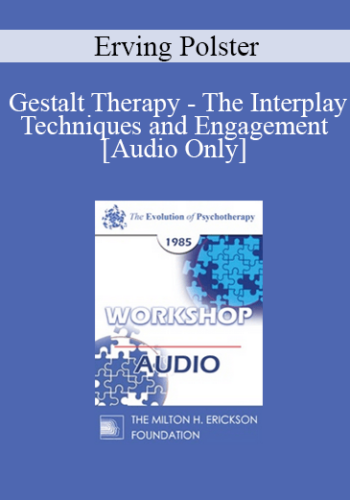 [Audio] EP85 Workshop 27 - Gestalt Therapy - The Interplay Techniques and Engagement - Erving Polster, Ph.D.