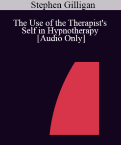 [Audio] IC04 Fundamentals of Hypnosis 05 - The Use of the Therapist's Self in Hypnotherapy - Stephen Gilligan