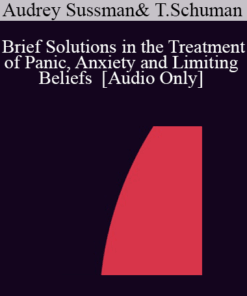 [Audio] IC04 Short Course 40 - Brief Solutions in the Treatment of Panic