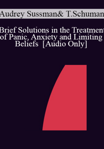 [Audio] IC04 Short Course 40 – Brief Solutions In The Treatment Of Panic, Anxiety And Limiting Beliefs – Audrey Sussman, M.S.W. And Tish Schuman, M.A.