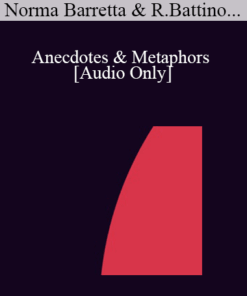 [Audio] IC04 Topical Panel 10 - Anecdotes & Metaphors - Norma Barretta