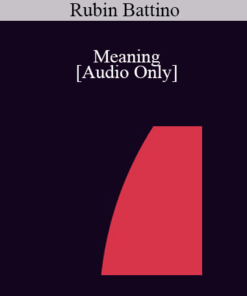 [Audio] IC07 Conversation Hour 06 - Meaning: The Life of Viktor Frankl An Illustrated Solo Reading - Rubin Battino