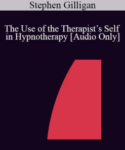 [Audio] IC07 Fundamentals of Hypnosis 06 - The Use of the Therapist’s Self in Hypnotherapy - Stephen Gilligan