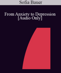 [Audio] IC07 Practice Development Workshop 08 - From Anxiety to Depression - Sofia Bauer