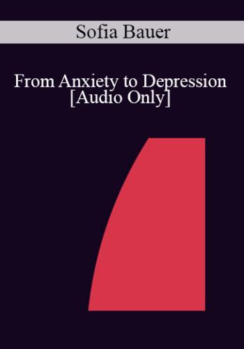 [Audio] IC07 Practice Development Workshop 08 - From Anxiety to Depression - Sofia Bauer, MD