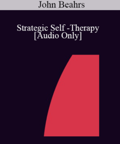 [Audio] IC07 Practice Development Workshop 10 - Strategic Self -Therapy - John Beahrs