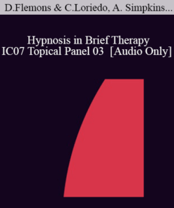 [Audio] IC07 Topical Panel 03 - Hypnosis in Brief Therapy - Douglas Flemons