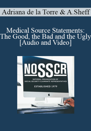 Adriana de la Torre, Andrew Sheff - Medical Source Statements: The Good, the Bad and the Ugly