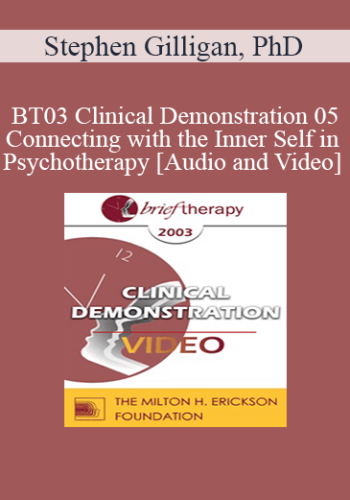 [Audio And Video] BT03 Clinical Demonstration 05 – Connecting With The Inner Self In Psychotherapy – Stephen Gilligan, PhD
