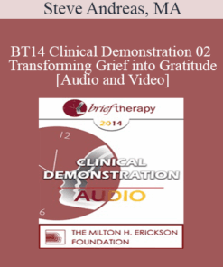 BT14 Clinical Demonstration 02 - Transforming Grief into Gratitude - Steve Andreas