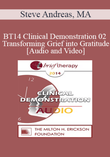 BT14 Clinical Demonstration 02 - Transforming Grief into Gratitude - Steve Andreas, MA