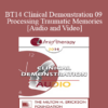BT14 Clinical Demonstration 09 - Processing Traumatic Memories - Bessel van der Kolk