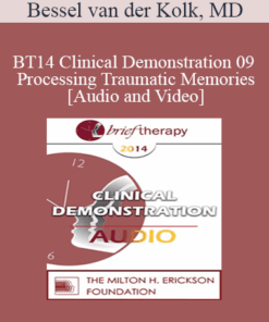 BT14 Clinical Demonstration 09 - Processing Traumatic Memories - Bessel van der Kolk