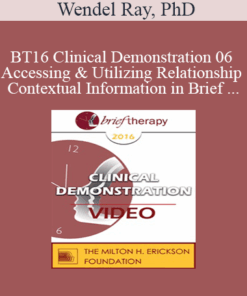 BT16 Clinical Demonstration 06 - Accessing & Utilizing Relationship and Contextual Information in Brief Therapy - Wendel Ray