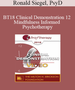 BT18 Clinical Demonstration 12 - Mindfulness Informed Psychotherapy: A Demonstration - Ronald Siegel