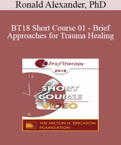 BT18 Short Course 01 - Brief Approaches for Trauma Healing: Navigating Chaos