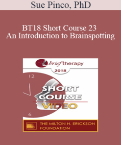 BT18 Short Course 23 - An Introduction to Brainspotting: A Revolutionary Therapy for Rapid and Effective Change - Sue Pinco