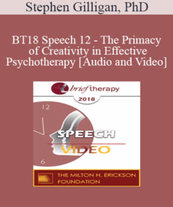 BT18 Speech 12 - The Primacy of Creativity in Effective Psychotherapy - Stephen Gilligan