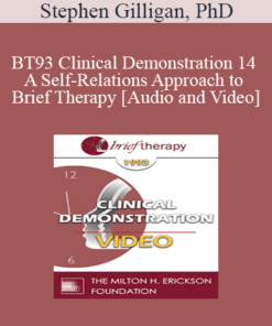 BT93 Clinical Demonstration 14 - A Self-Relations Approach to Brief Therapy - Stephen Gilligan