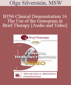 BT96 Clinical Demonstration 16 - The Use of the Genogram in Brief Therapy - Olga Silverstein
