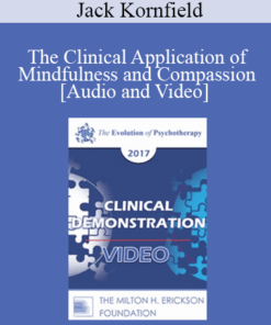 EP17 Clinical Demonstration 07 - The Clinical Application of Mindfulness and Compassion - Jack Kornfield