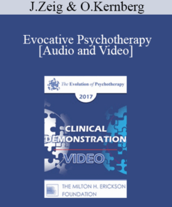 EP17 Clinical Demonstration with Discussant 06 - Evocative Psychotherapy - Jeffrey Zeig